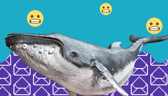"une baleine, avec des enveloppes et des emojis de visage grimaçantes"